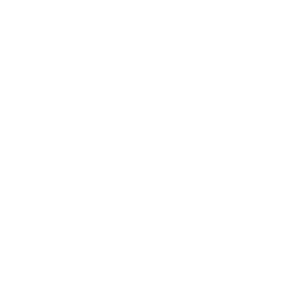 Wrench icon